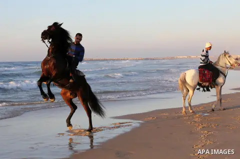 Palestinian youths show their skills on ride horses on the beach of Gaza city on Feb. 12, 2016. Photo by Mohammed Asad