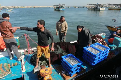 Palestinian fishermen collect fish from their nets at Gaza's seaport of Gaza City, on March 5, 2016. Photo by Yasser Qudih