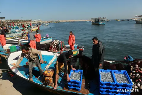 Palestinian fishermen collect fish from their nets at Gaza's seaport of Gaza City, on March 5, 2016. Photo by Yasser Qudih