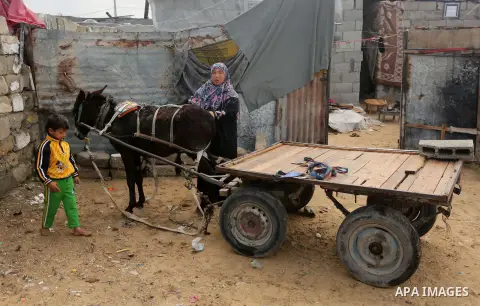 Palestinian woman Jihan Abu Muhsen prepares her donkey with her son Kareem before going work collecting bricks for sale from sites of demolished buildings, at her dwelling in Khan Younis in the southern Gaza Strip March...