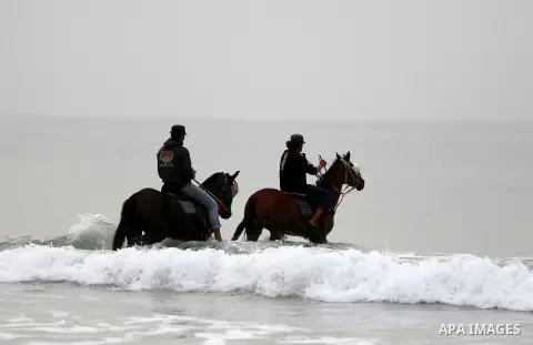 Palestinain ride thier horses in the Mediterranean sea on the coast of Gaza city, on March 25, 2016. Photo by Yasser Qudih