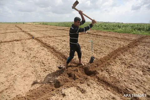 Palestinians plant olive trees during a march to mark Land Day in Gaza, on March 29, 2016. The annual demonstrations mark the deaths of six Arab Israeli protesters at the hands of Israeli police and troops during mass pr...