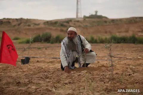 A Palestinian man plants olive trees during a rally marking Land Day, near the Israeli border with central Gaza Strip March 30, 2016. March 30 marks Land Day, the annual commemorations of the killing by police of six Ara...
