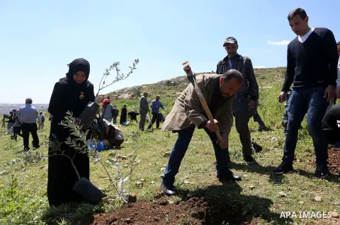 Palestinian volunteers plant olive trees, bearing the names of Palestinians who were killed amid a wave of violence that erupted in October, in the mountains near the Palestinian town of al-Bireh on the outskirts of Rama...
