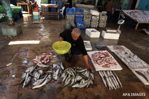 A Palestinian fisherman displays fish at his shop in the Gaza seaport, on April 03, 2016. Israel on Sunday extended the distance it permits Gaza fishermen to head out to sea along certain parts of the coastline of the en...