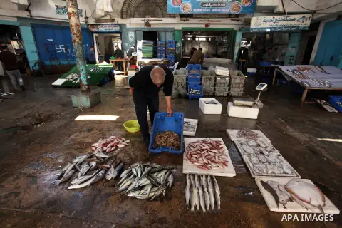 A Palestinian fisherman displays fish at his shop in the Gaza seaport, on April 03, 2016. Israel on Sunday extended the distance it permits Gaza fishermen to head out to sea along certain parts of the coastline of the en...