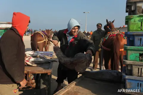 Palestinian fishermen display fish for sale, in Gaza seaport, on April 4, 2016. Israel on Sunday extended the distance it permits Gaza fishermen to head out to sea along certain parts of the coastline of the enclave, whi...