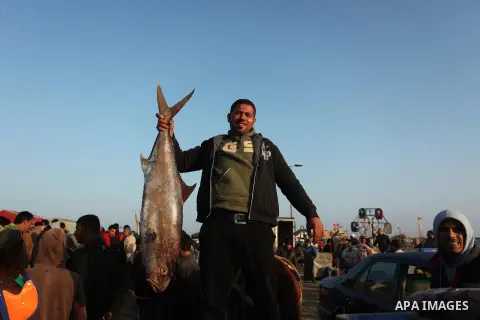 A Palestinian fisherman displays fish for sale, in Gaza seaport, on April 4, 2016. Israel on Sunday extended the distance it permits Gaza fishermen to head out to sea along certain parts of the coastline of the enclave,...