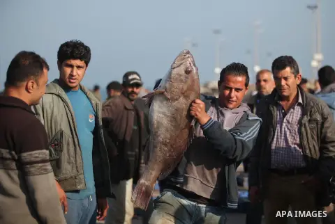 Palestinian fishermen display fish for sale, in Gaza seaport, on April 4, 2016. Israel on Sunday extended the distance it permits Gaza fishermen to head out to sea along certain parts of the coastline of the enclave, whi...