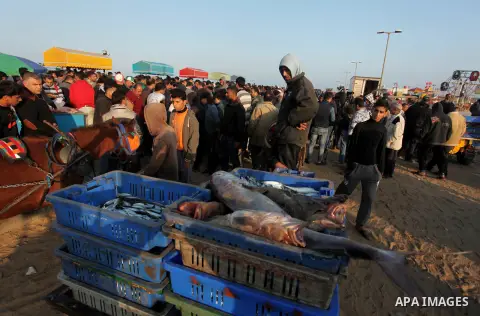 Palestinian fishermen display fish for sale, in Gaza seaport, on April 4, 2016. Israel on Sunday extended the distance it permits Gaza fishermen to head out to sea along certain parts of the coastline of the enclave, whi...
