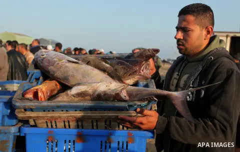 Palestinian fishermen display fish for sale, in Gaza seaport, on April 4, 2016. Israel on Sunday extended the distance it permits Gaza fishermen to head out to sea along certain parts of the coastline of the enclave, whi...