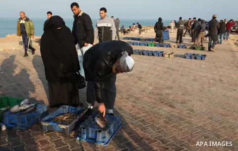 Palestinian fishermen display fish for sale, in Gaza seaport, on April 4, 2016. Israel on Sunday extended the distance it permits Gaza fishermen to head out to sea along certain parts of the coastline of the enclave, whi...