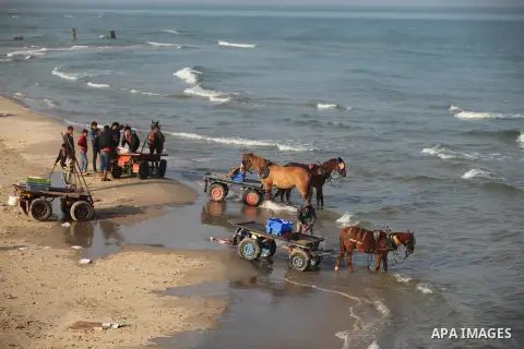Palestinian fishermen display fish for sale, in Gaza seaport, on April 4, 2016. Israel on Sunday extended the distance it permits Gaza fishermen to head out to sea along certain parts of the coastline of the enclave, whi...