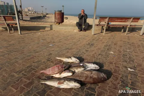Palestinian fishermen display fish for sale, in Gaza seaport, on April 4, 2016. Israel on Sunday extended the distance it permits Gaza fishermen to head out to sea along certain parts of the coastline of the enclave, whi...