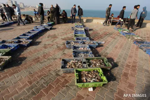Palestinian fishermen display fish for sale, in Gaza seaport, on April 4, 2016. Israel on Sunday extended the distance it permits Gaza fishermen to head out to sea along certain parts of the coastline of the enclave, whi...
