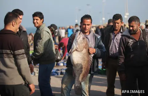 Palestinian fishermen display fish for sale, in Gaza seaport, on April 4, 2016. Israel on Sunday extended the distance it permits Gaza fishermen to head out to sea along certain parts of the coastline of the enclave, whi...