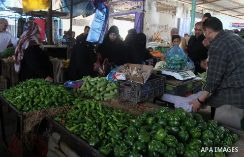 A Palestinian man sells vegetables at his shop in a market in Rafah in the southern Gaza Strip, April 19, 2016. Photo by Abed Rahim Khatib