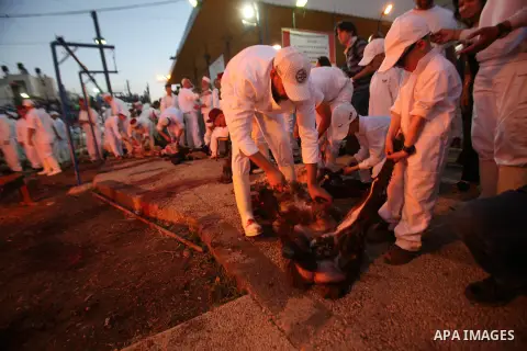 Members of the ancient Samaritan community participate in the ritual of Passover Sacrifice on Mount Grizim, overlooking the West Bank town of Nablus, April 20, 2016. Samaritans descended from the ancient Israelite tribes...