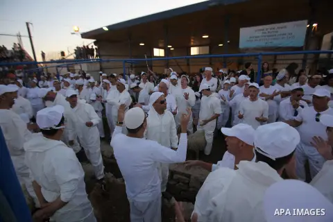 Members of the ancient Samaritan community participate in the ritual of Passover Sacrifice on Mount Grizim, overlooking the West Bank town of Nablus, April 20, 2016. Samaritans descended from the ancient Israelite tribes...