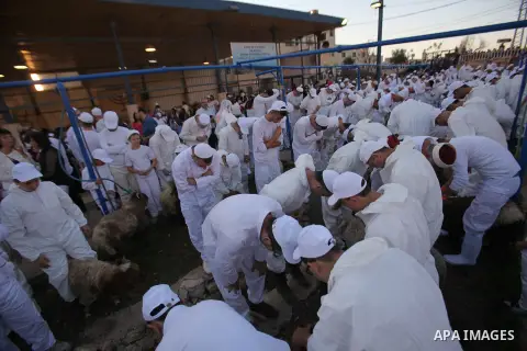 Members of the ancient Samaritan community participate in the ritual of Passover Sacrifice on Mount Grizim, overlooking the West Bank town of Nablus, April 20, 2016. Samaritans descended from the ancient Israelite tribes...