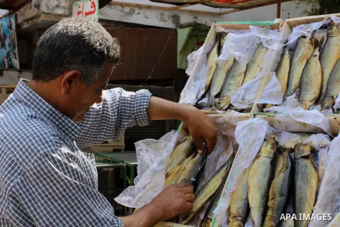 Egyptians buy the Herring or, salted fish during preparation for the upcoming the Sham El Nessim, or the Festival of Spring Breeze, which marks the beginning of spring, in Cair, on April 30, 2016. Photo by Amr Sayed