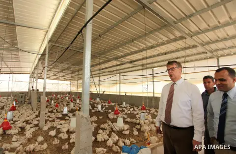 Representative for the Netherlands to the Palestinian Authority Peter Mollema gestures as he visits a chicken farm supplied with water that is provided by a Dutch-funded project, in Khan Younis in the southern Gaza Strip...