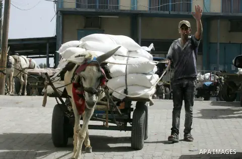 Palestinian workers carry bags of flour to distribute to families, at an aid distribution centre of the United Nations Relief and Works Agency (UNRWA) in the southern Gaza Strip town of Khan Younis on May 15, 2016, on th...