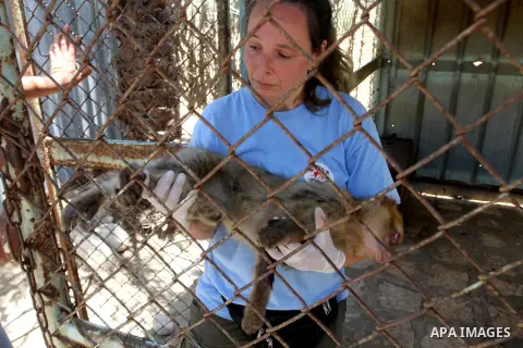 A member of FOUR PAWS International team checks a monkey at a zoo in Khan Younis in the southern Gaza Strip June 10, 2016. Photo by Abed Rahim Khatib