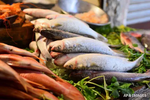 Fishes are displayed on the holy month of Ramadan at a fishes market at the Imbaba area in Cairo, Egypt, on June 11, 2016. Ramadan is sacred to Muslims because it is during that month that tradition says the Koran was re...