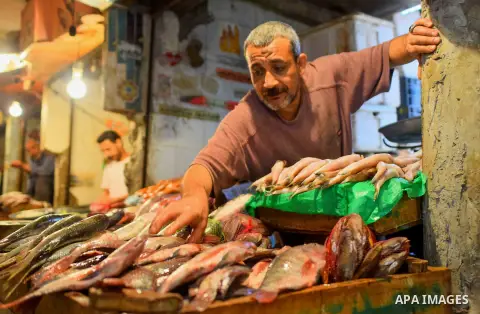 An Egyptian vendor displays fishes at his shop on the holy month of Ramadan at a fishes market at the Imbaba area in Cairo, Egypt, on June 11, 2016. Ramadan is sacred to Muslims because it is during that month that tradi...