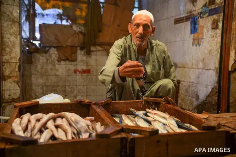 An Egyptian vendor displays fishes at his shop on the holy month of Ramadan at a fishes market at the Imbaba area in Cairo, Egypt, on June 11, 2016. Ramadan is sacred to Muslims because it is during that month that tradi...