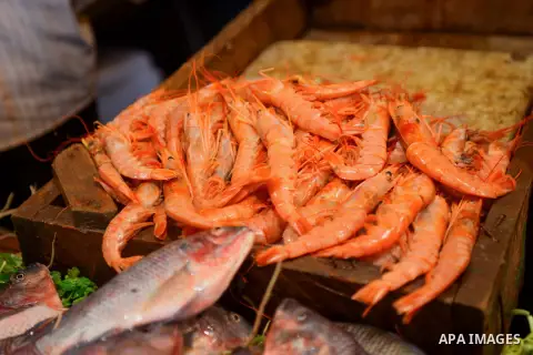 Fishes are displayed on the holy month of Ramadan at a fishes market at the Imbaba area in Cairo, Egypt, on June 11, 2016. Ramadan is sacred to Muslims because it is during that month that tradition says the Koran was re...