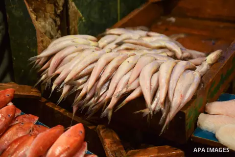 Fishes are displayed on the holy month of Ramadan at a fishes market at the Imbaba area in Cairo, Egypt, on June 11, 2016. Ramadan is sacred to Muslims because it is during that month that tradition says the Koran was re...