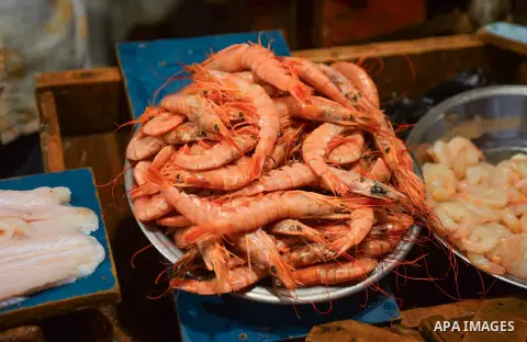 Fishes are displayed on the holy month of Ramadan at a fishes market at the Imbaba area in Cairo, Egypt, on June 11, 2016. Ramadan is sacred to Muslims because it is during that month that tradition says the Koran was re...