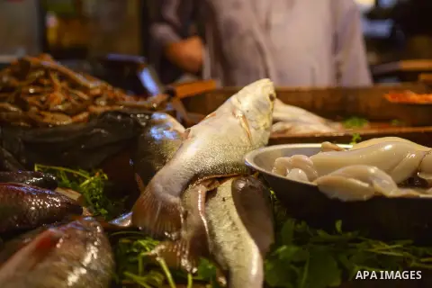 Fishes are displayed on the holy month of Ramadan at a fishes market at the Imbaba area in Cairo, Egypt, on June 11, 2016. Ramadan is sacred to Muslims because it is during that month that tradition says the Koran was re...