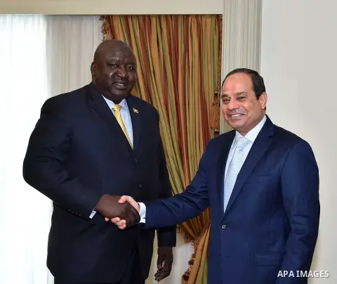 Egyptian President Abdel Fattah al-Sisi meets with Uganda's Foreign Minister, Henry Oryem Okello, in Cairo, Egypt, on June 14, 2016. Photo by Egyptian President Office