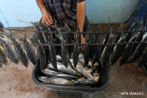 A Palestinian man prepares mackerels to be smoked and sold at a market ahead of the Eid al-Fitr holiday on July 2, 2016 in Khan Yunis, in the southern Gaza Strip. Eid al-Fitr marks the end of Muslim's holy fasting month...