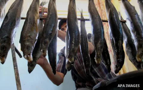 A Palestinian man prepares mackerels to be smoked and sold at a market ahead of the Eid al-Fitr holiday on July 2, 2016 in Khan Yunis, in the southern Gaza Strip. Eid al-Fitr marks the end of Muslim's holy fasting month...