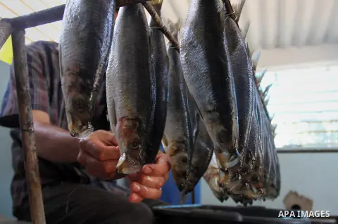 A Palestinian man prepares mackerels to be smoked and sold at a market ahead of the Eid al-Fitr holiday on July 2, 2016 in Khan Yunis, in the southern Gaza Strip. Eid al-Fitr marks the end of Muslim's holy fasting month...