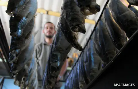 A Palestinian man prepares mackerels to be smoked and sold at a market ahead of the Eid al-Fitr holiday on July 2, 2016 in Khan Yunis, in the southern Gaza Strip. Eid al-Fitr marks the end of Muslim's holy fasting month...