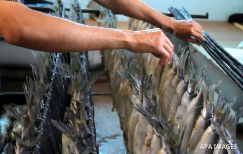 A Palestinian man prepares mackerels to be smoked and sold at a market ahead of the Eid al-Fitr holiday on July 2, 2016 in Khan Yunis, in the southern Gaza Strip. Eid al-Fitr marks the end of Muslim's holy fasting month...