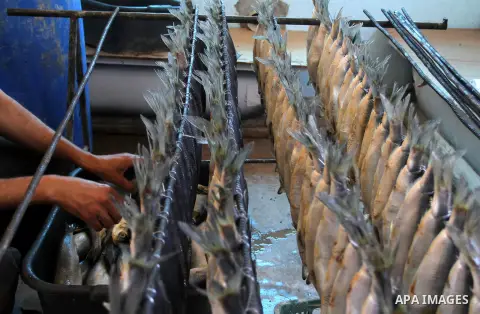 A Palestinian man prepares mackerels to be smoked and sold at a market ahead of the Eid al-Fitr holiday on July 2, 2016 in Khan Yunis, in the southern Gaza Strip. Eid al-Fitr marks the end of Muslim's holy fasting month...
