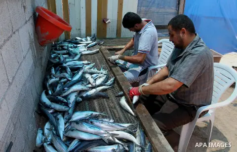 A Palestinian man prepares mackerels to be smoked and sold at a market ahead of the Eid al-Fitr holiday on July 2, 2016 in Khan Yunis, in the southern Gaza Strip. Eid al-Fitr marks the end of Muslim's holy fasting month...