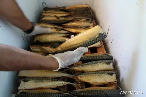 A Palestinian man prepares mackerels to be smoked and sold at a market ahead of the Eid al-Fitr holiday on July 2, 2016 in Khan Yunis, in the southern Gaza Strip. Eid al-Fitr marks the end of Muslim's holy fasting month...