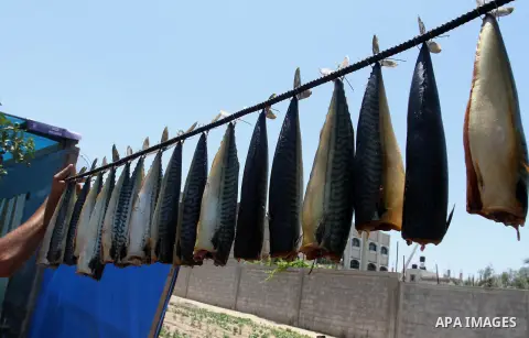 Palestinian men smoke mackerels that they will sell at a market ahead of the Eid al-Fitr holiday on July 2, 2016 in Khan Yunis, in the southern Gaza Strip. Eid al-Fitr marks the end of Muslim's holy fasting month of Rama...