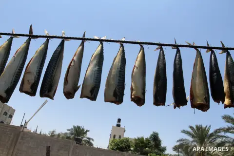 Palestinian men smoke mackerels that they will sell at a market ahead of the Eid al-Fitr holiday on July 2, 2016 in Khan Yunis, in the southern Gaza Strip. Eid al-Fitr marks the end of Muslim's holy fasting month of Rama...