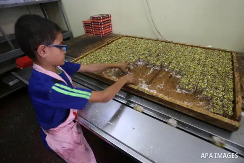 Palestinians prepare sweet known in Arabic as "Halkoum" ahead of the Eid al-Fitr holiday, in Gaza city, on July 3, 2016. Eid al-Fitr marks the end of Muslim's holy fasting month of Ramadan when faithfuls abstain from eat...