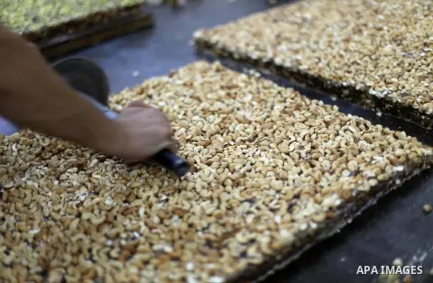 Palestinians prepare sweet known in Arabic as "Halkoum" ahead of the Eid al-Fitr holiday, in Gaza city, on July 3, 2016. Eid al-Fitr marks the end of Muslim's holy fasting month of Ramadan when faithfuls abstain from eat...