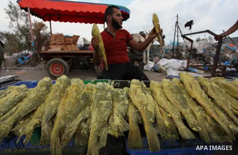 A Palestinian vendor displays salted fish at a market ahead of the Eid al-Fitr holiday, in Nuseirat refugee camp in the central Gaza Strip, on July 4, 2016. Eid al-Fitr marks the end of Muslim's holy fasting month of Ram...