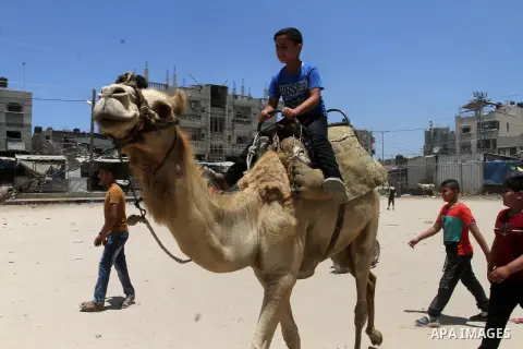Palestinian children enjoy riding a camel to celebrate Eid al-Fitr during the second day of the holiday of Eid al-Fitr marking the end of Islam's fasting holy month of Ramadan, in Rafah in the southern Gaza strip, on Jul...
